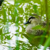 軽井沢タリアセン