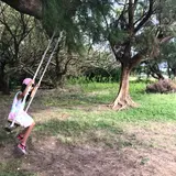 泡瀬干潟 潮干狩り