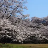水の広場