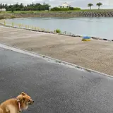 波の上うみそら公園