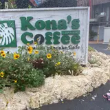 コナズ珈琲アメリカンビレッジ