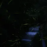 エコミュージアム川根