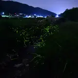 向原町保垣