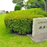 西浦園地