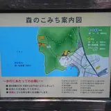 ボッケ（阿寒湖畔）