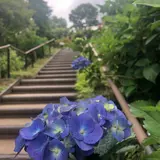保和苑