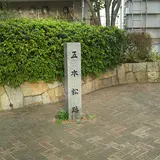 小名木川五本松跡