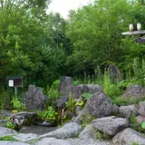 原始の泉