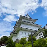 小田原城址公園