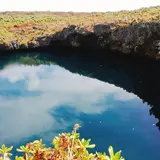 通り池