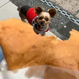 コクリコ・クレープ店