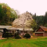 阿専asen