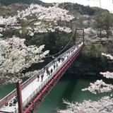 桜淵公園