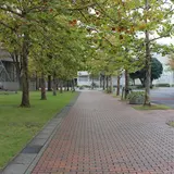 聖徳大学附属女子中学校・高等学校
