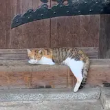 彦根城