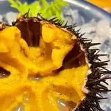 片倉うに屋