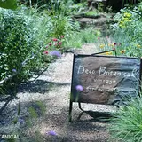 DECO BOTANICAL vintage + garden cafe