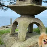 長浜城 太閤井戸