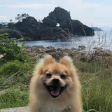 窓岩