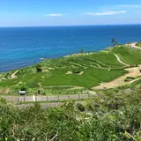 千枚田珈琲