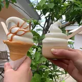 SOFTCREAM STAND
