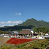 道の駅 豊平どんぐり村