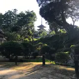 妙成寺