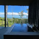 坐忘林