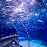 Shanghai Ocean Aquarium