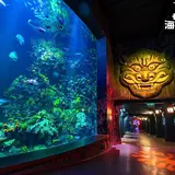長風海洋世界