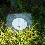 「茨田」地名由来