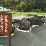 篠山城築城の石材