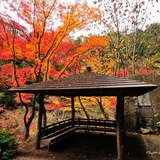 長田円右衛門の碑