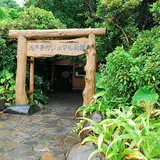 志戸子ガジュマル公園