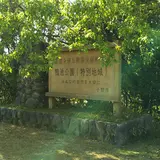 鴨池公園