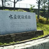 水産試験場跡