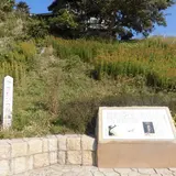 アカシゾウ発掘地