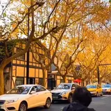 Wu Kang Lu