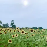 和泉リサイクル環境公園