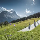 First Trottibike Scooter