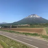 フラワーパーキング