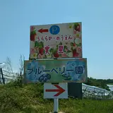 里脇観光ぶどう園