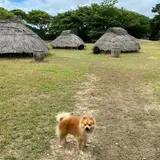 仲原遺跡