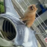 海洋博公園