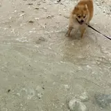 エメラルドビーチ