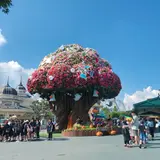 エバーランド/에버랜드
