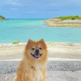 REEF MAGIC Shikiya Beach BBQ Park