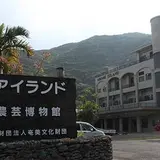 奄美アイランド