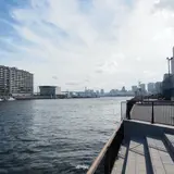 豊海運動公園
