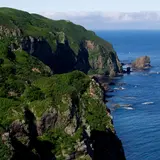 天売島